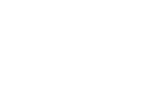 Dom Maklerski BDM S.A.